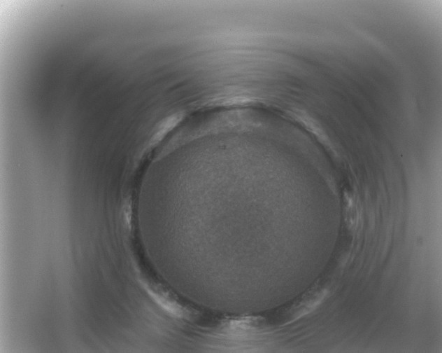 X0000066010072200603101607