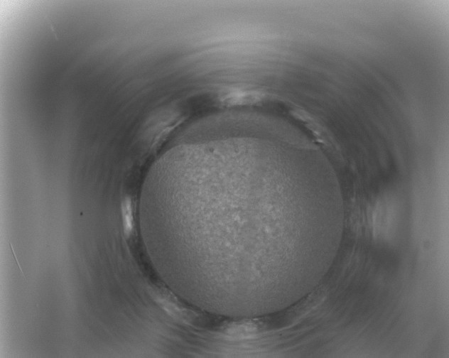 X0000066010075200603101607