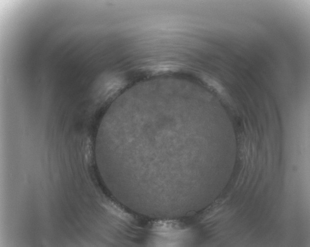 X0000066010077200603101607