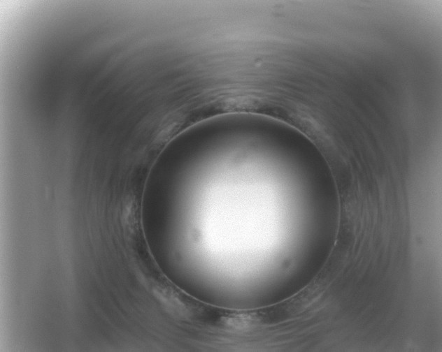 X0000066010079200603101608