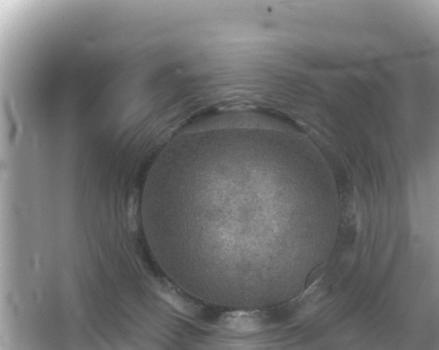 X0000066010082200603101608