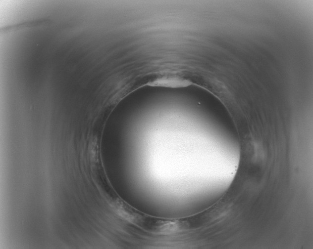 X0000066010083200603101608