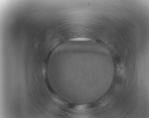 X0000066010084200603101608