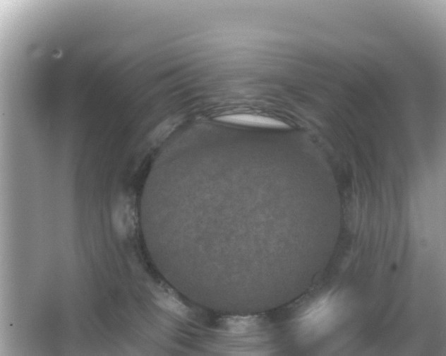 X0000066010085200603101608