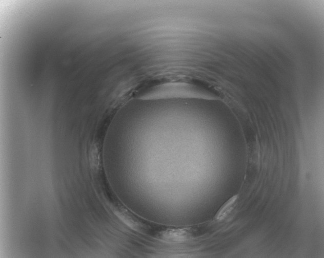 X0000066010086200603101608