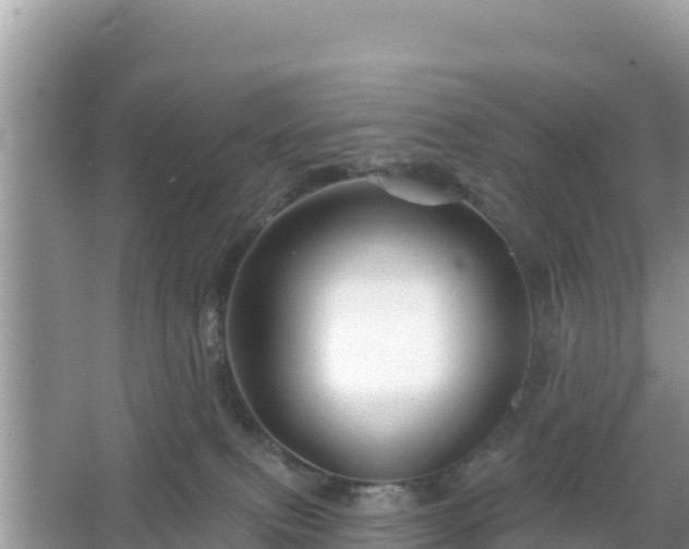 X0000066010087200603101608