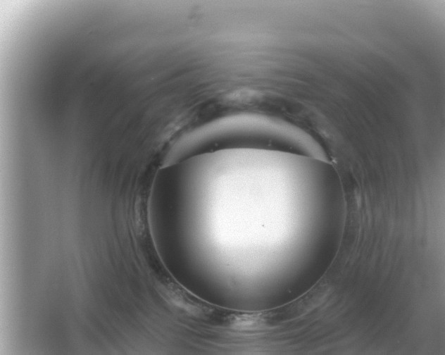 X0000066010088200603101608