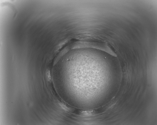 X0000066010089200603101608