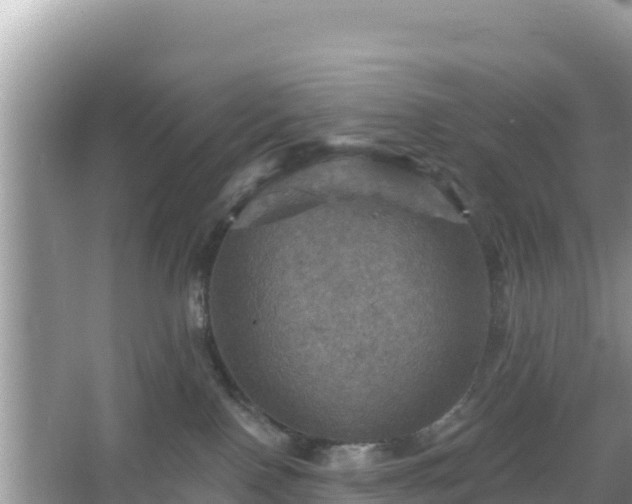 X0000066010090200603101608