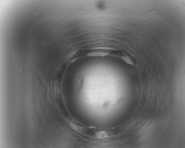 X0000066010091200603101608