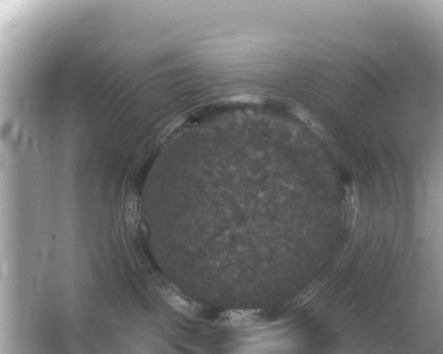 X0000066010093200603101608