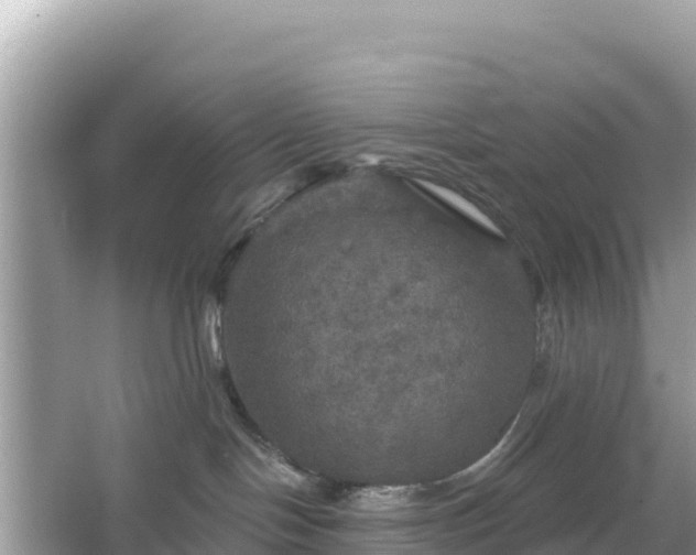 X0000066010094200603101608