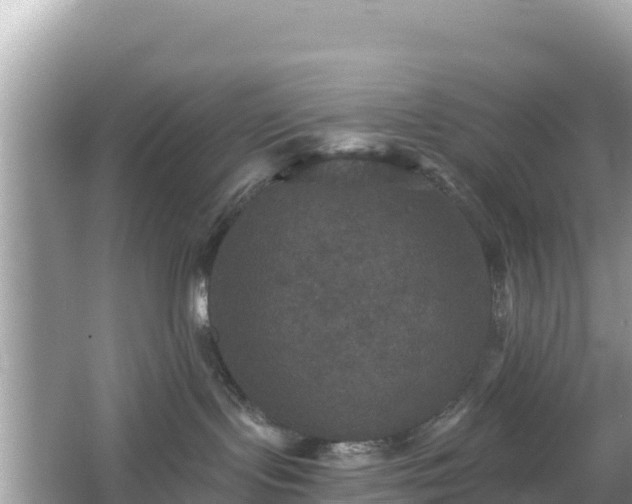 X0000066010095200603101608