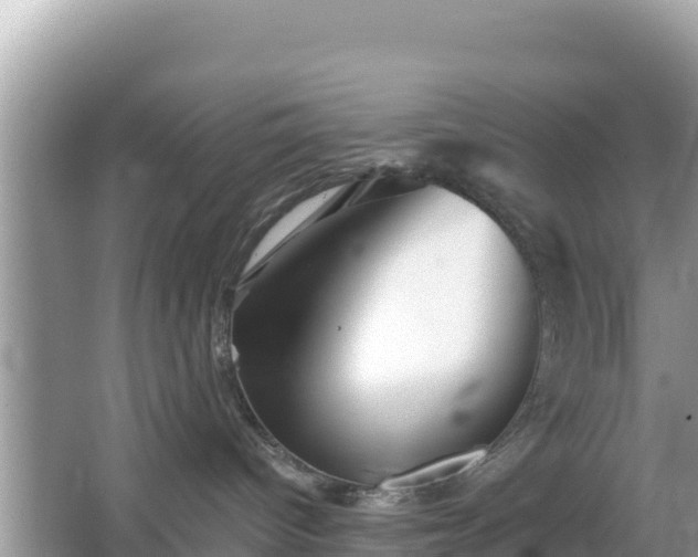 X0000066010096200603101608