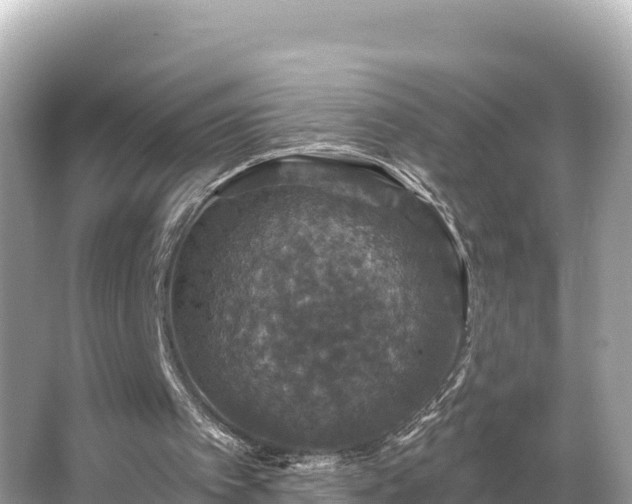 X0000066010097200603101607