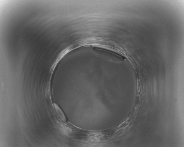 X0000066010099200603101607