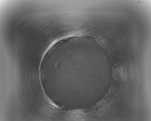 X0000066010100200603101607