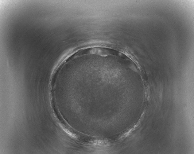 X0000066010101200603101607