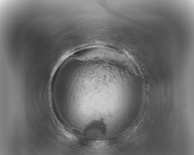 X0000066010102200603101607