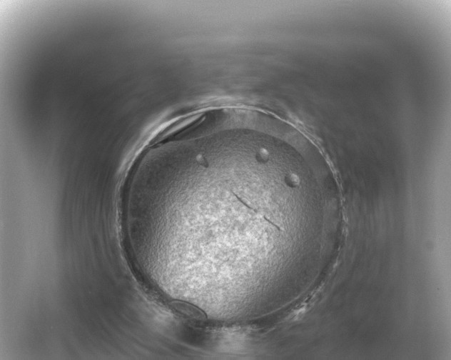 X0000066010103200603101607