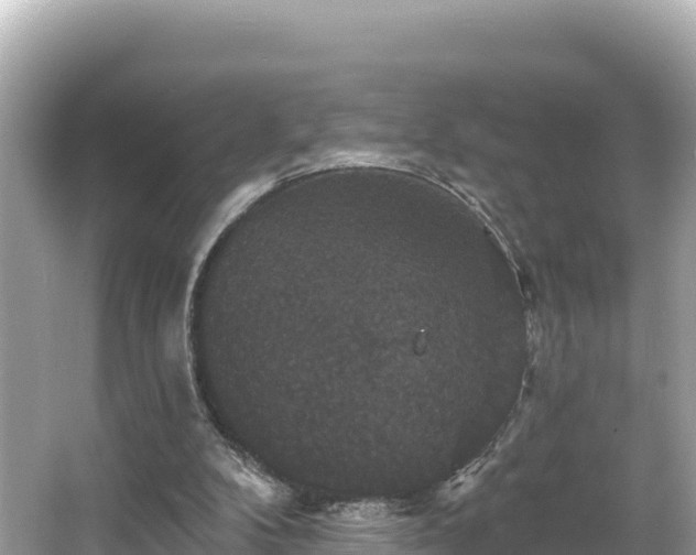 X0000066010104200603101607