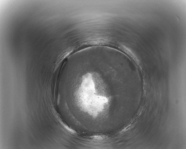 X0000066010105200603101607