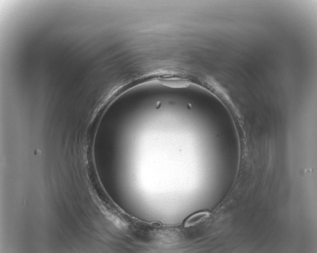 X0000066010106200603101607