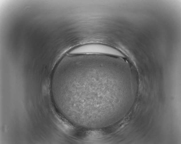 X0000066010107200603101607