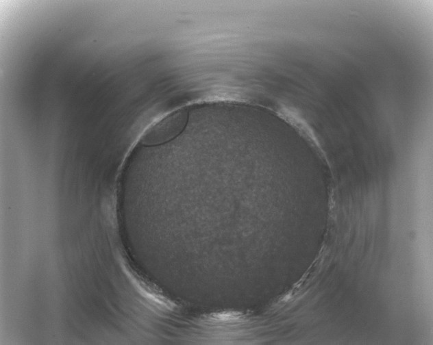 X0000066010108200603101607