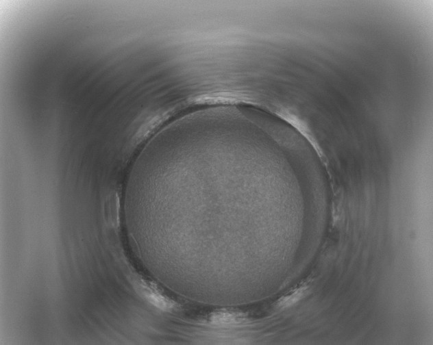 X0000066010109200603101607