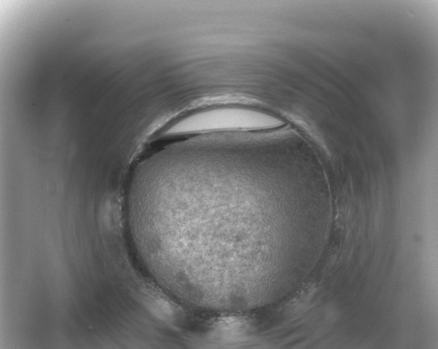 X0000066010111200603101607