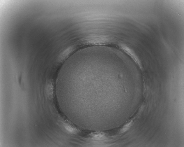 X0000066010113200603101607