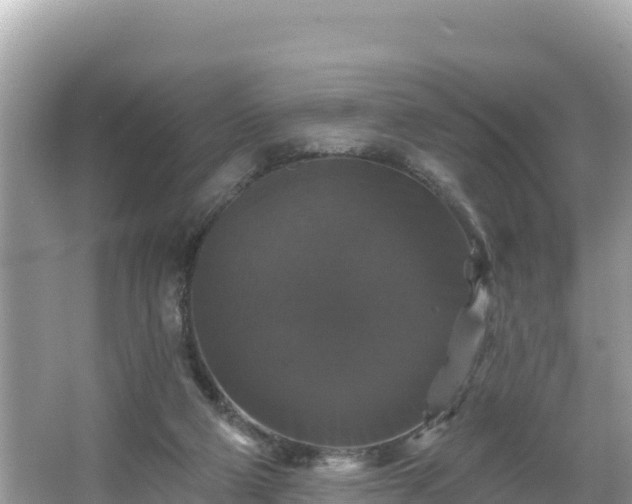 X0000066010114200603101607