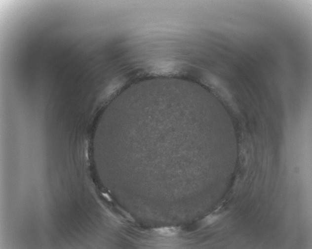 X0000066010115200603101607