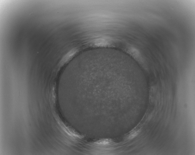 X0000066010116200603101607