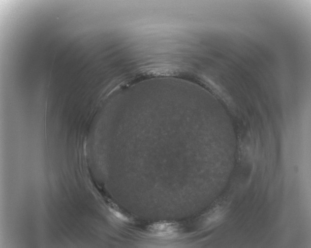 X0000066010117200603101607