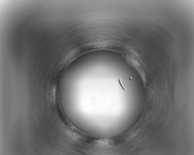 X0000066010118200603101607