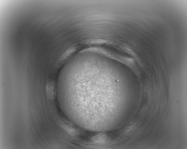 X0000066010119200603101607