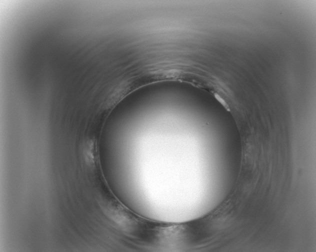 X0000066010122200603101607