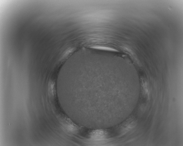 X0000066010123200603101607