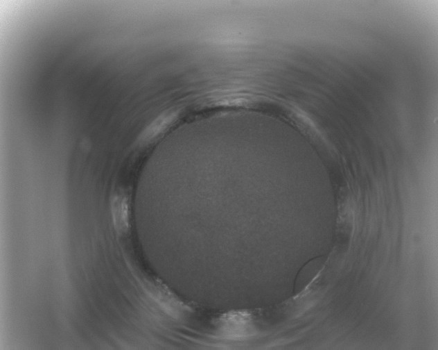 X0000066010124200603101607