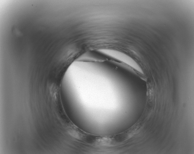 X0000066010125200603101607