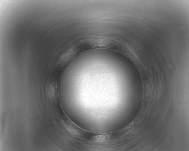 X0000066010126200603101607