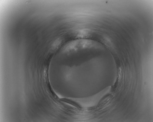 X0000066010127200603101606