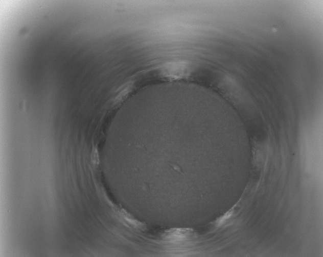 X0000066010128200603101606