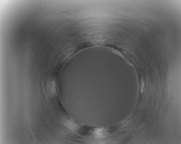 X0000066010130200603101606