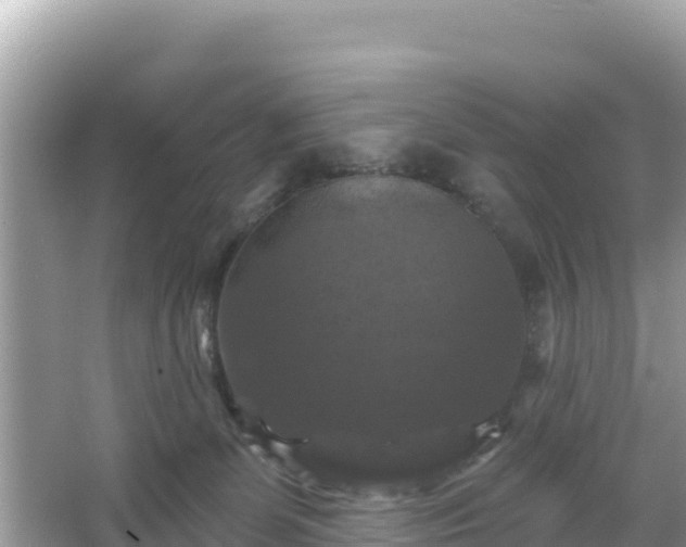 X0000066010131200603101606