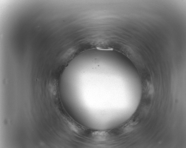 X0000066010133200603101606