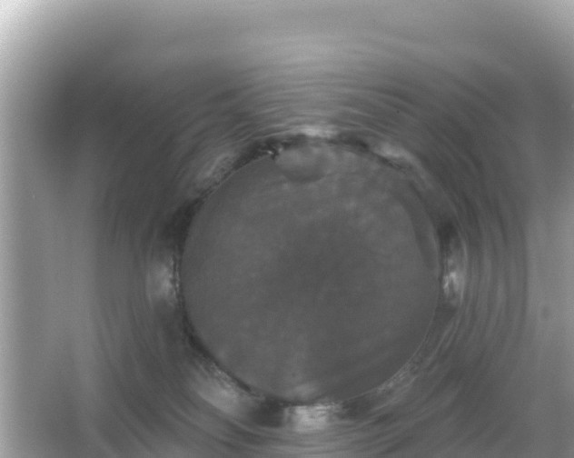 X0000066010134200603101606