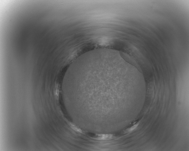 X0000066010135200603101606